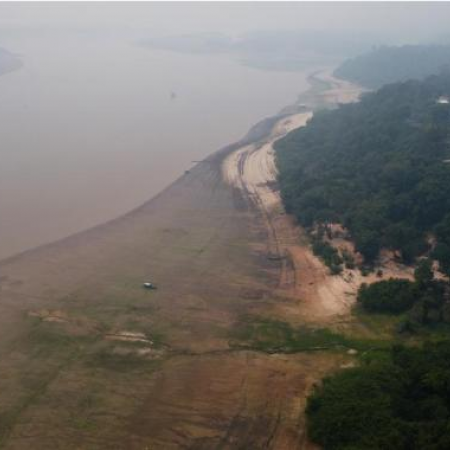 Destaca Brasil ante el G20 reducción del 51 % en la deforestación amazónica