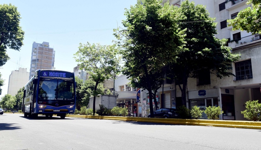 En La Plata, piden refuerzos para el transporte urbano